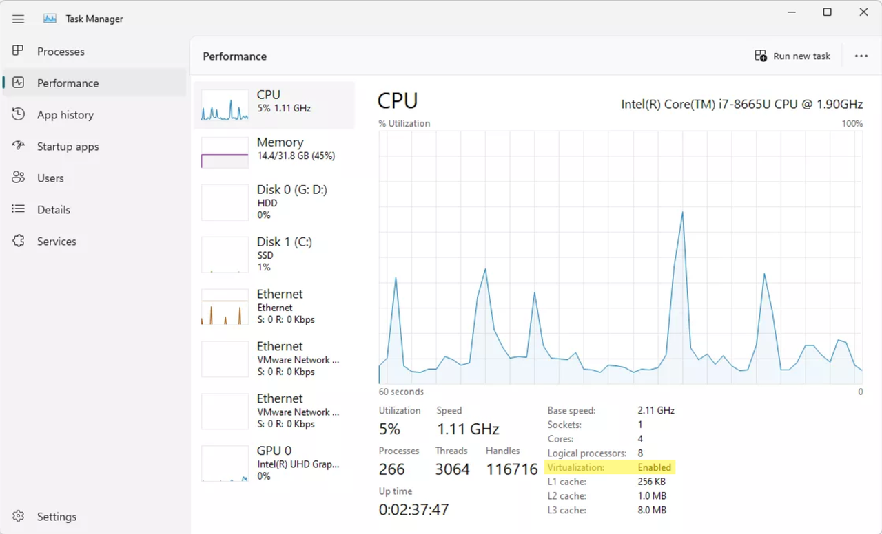 Virtualization in Task Manager